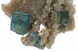 Cubic, Blue-Green Fluorite Crystals on Quartz - China #128572-2